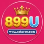 899U.COM