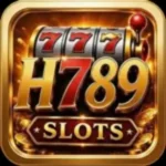 H789 Game