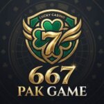 667pk game