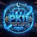 PK11 GAME