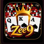 Zee9 Game?