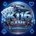K116 game