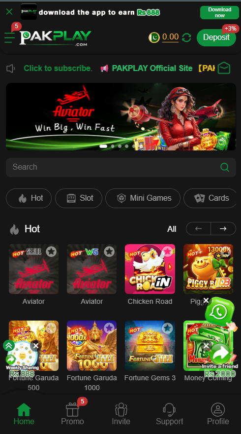 pakplay game 